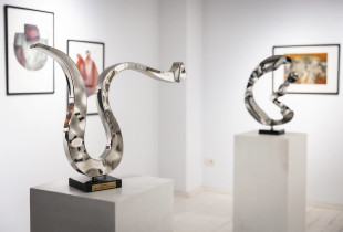 Ani pse është një ekspozitë paralele me dy sosh brenda saj, “Thellësia dhe vëllimi”, si tërësi gjen emëruese të përbashkëta (Foto: Galeria “Qahili”)