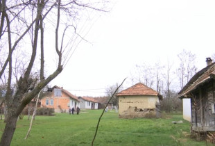 Halabak