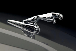 Jaguari