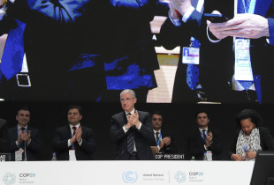 COP29