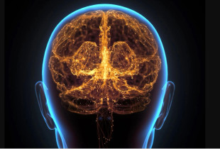 Përmirësimi i shëndetit të trurit