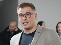 Lideri i Demokracisë Serbe, Aleksandar Arsenijeviq