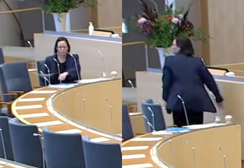 Sulmohet ministrja suedeze