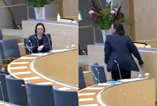Sulmohet ministrja suedeze