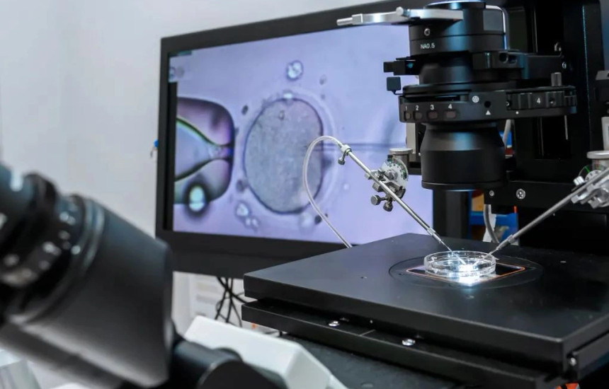 Procedurat teknologjike për asistim të ngjizjes