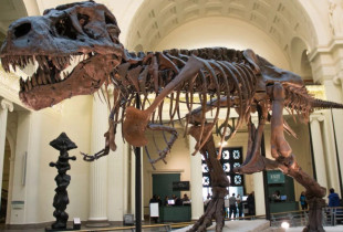 Dinozaurët