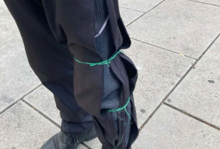 sulm i qenve endacakë