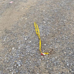 Aksidenti në Badovc