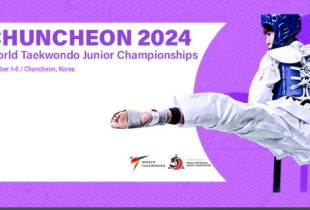 Taekwondo