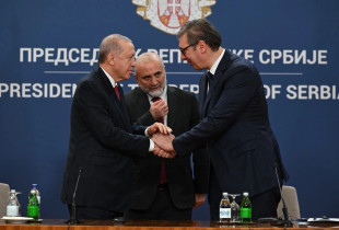 Erdogan - Vuciq