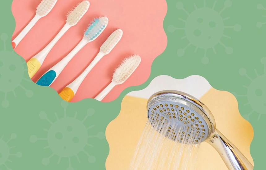 brushat e dhëmbëve dhe tushi