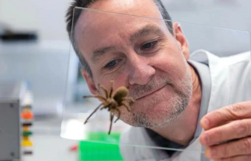 Ilaçi i krijur nga helmi i marimanges