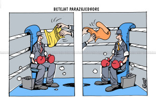 Karikatura e ditës