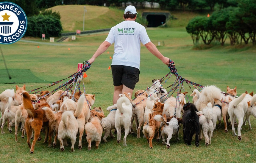 Rekordi botëror i kanadezit
