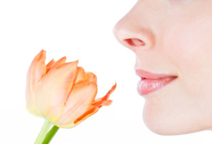 shqisa e të nuhaturit