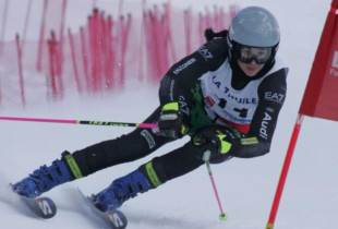 Skitarja