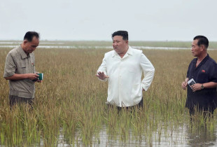 Koreja e Veriut