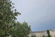 Moti vranet