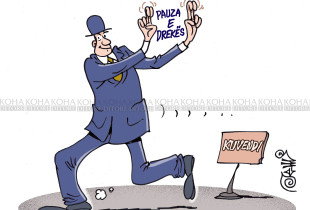 Karikatura e ditës