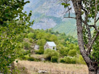 Tropoja