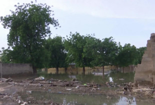 Vershimet demtojne muret ne burg ne Nigeri