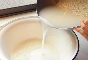 uji i orizit