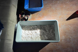 Droga kokaina - laborator i Prishtine