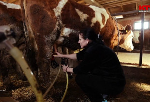 Çifti që e la Prishtinën pas 12 vjetësh e ndërtoi fermë në Keqekollë