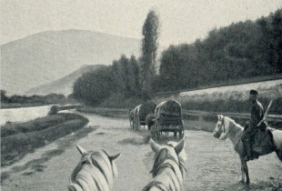 Hyrja në Pejë. Viti 1909 (Foto: Gabriel Louis-Jaray)