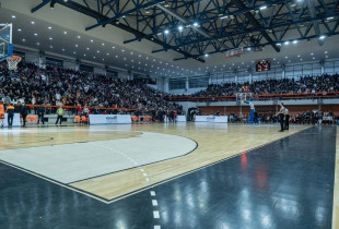 Basketboll