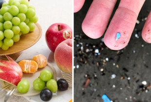 Frutat ofrojnë mbrojtje nga mikroplastika
