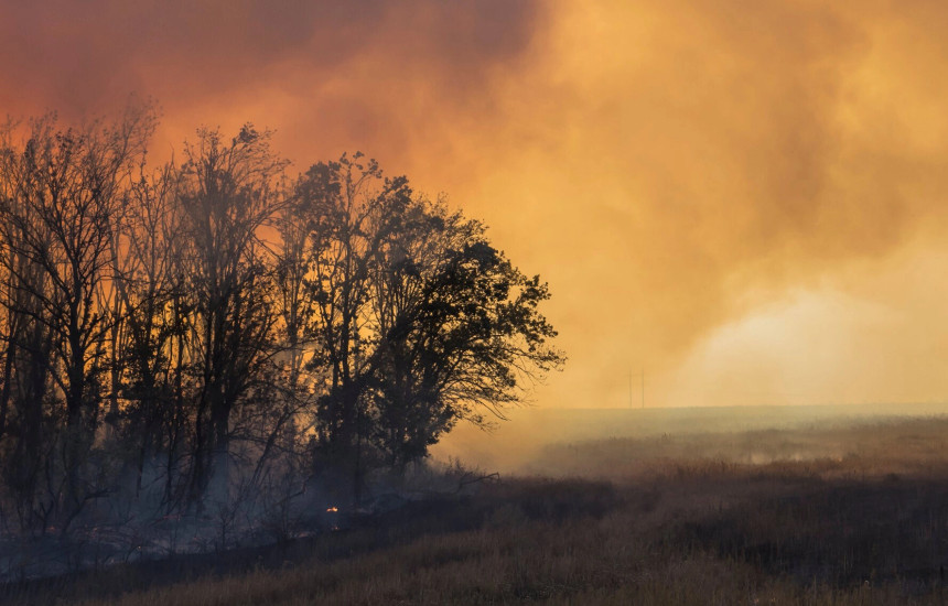 Ukraina - deme mjedisore