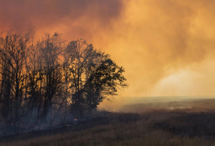 Ukraina - deme mjedisore