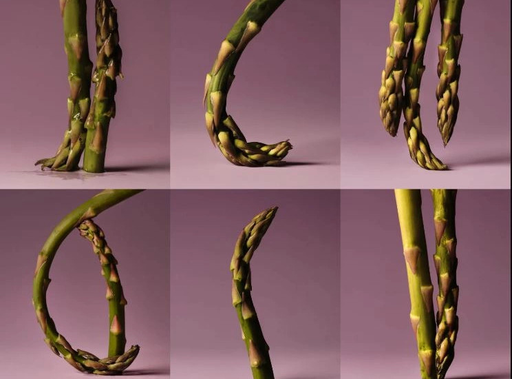 Fotografi nga Suzanne Saroff për The New York Times