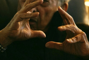 Mario Vargas Llosa