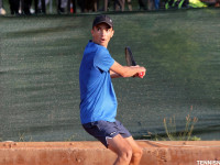 Tenis
