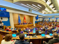 Kuvendi i Malit te Zi