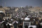 palestine