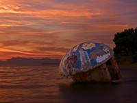 Imazh brenda Parkut Kombëtar të Butrintit (Foto: National Geographic)