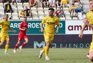Horsens
