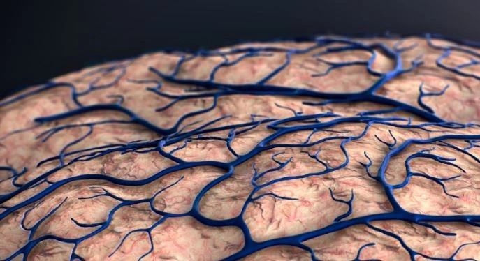 Shkencëtarët thonë se Alzheimeri mund të fillojë jashtë trurit