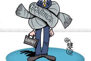 Karikatura e ditës