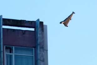 Dron