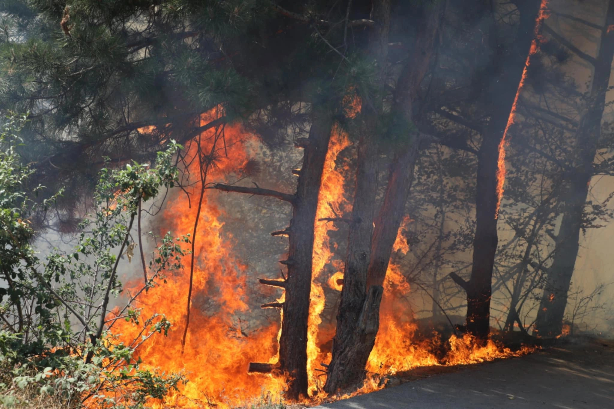 Aktualisht 24 vatra aktive zjarri në Kosovë