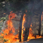 Zjarri në Kçiq të Vogël (Foto: Driton Paçarada)