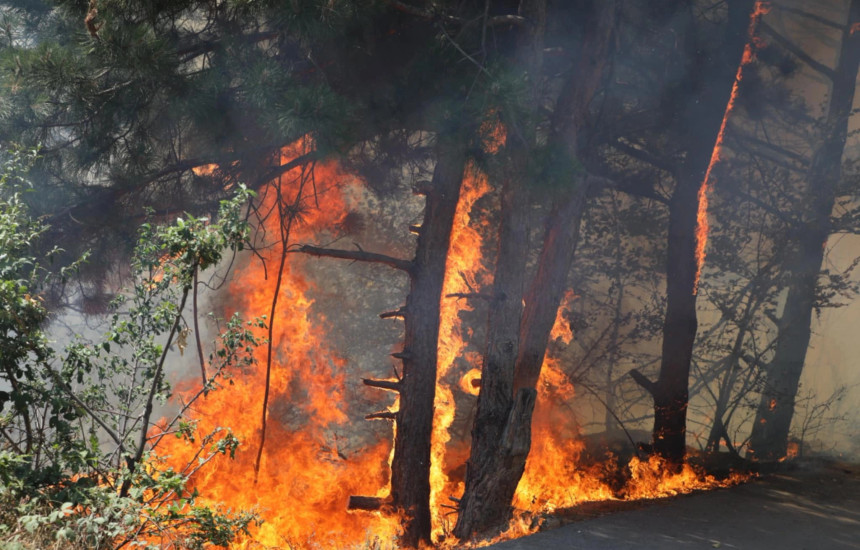 Zjarri në Kçiq të Vogël (Foto: Driton Paçarada)