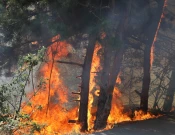 Zjarri në Kçiq të Vogël (Foto: Driton Paçarada)