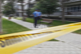 Vrasje - shiriti - vdekje - policia