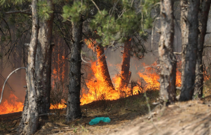 Zjarri në fshatin Kçiq (Foto: Driton Paçarada)