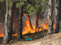 Zjarri në fshatin Kçiq (Foto: Driton Paçarada)